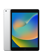 iPad (9. nesil)